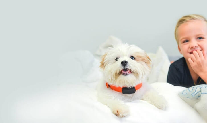 Nuzzle Pet Activity and GPS Tracker