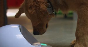 CleverPet for dogs and cats