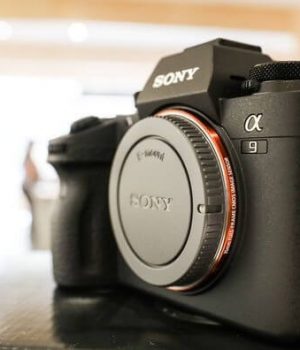 Sony’s New Camera- Alpha A9 is the Perfect Companion for Capturing Action sony alpha 9 cameras