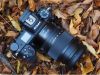 Nikon Z6 Review: Ready to Replace Your DSLR Nikon Z6 Review